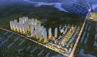 万科理想城 万科理想城