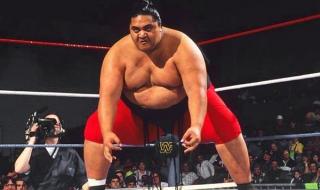 wwe摔跤手全部名单图片 wwe摔跤手全部名单图片